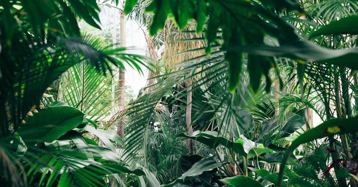 Space Garden